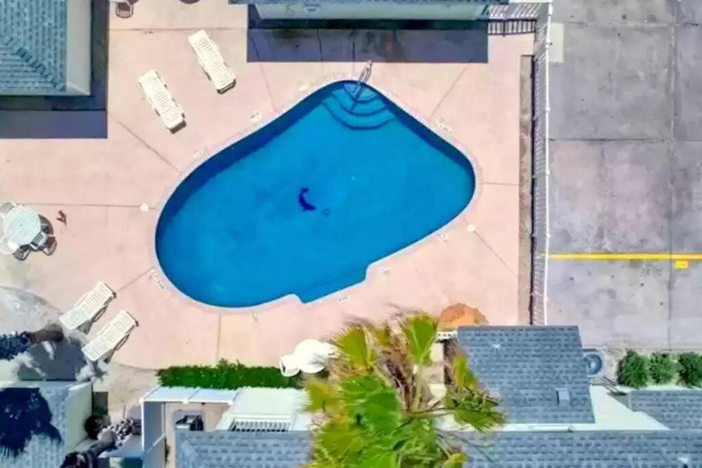 Spacious Home, Short Walk To Beach, Heated Pool! Corpus Christi Exterior foto